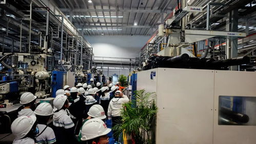 秋假啟航，長(zhǎng)虹雙創(chuàng)園打造工業(yè)科技研學(xué)新標(biāo)桿 信息技術(shù)的深度開發(fā)之旅